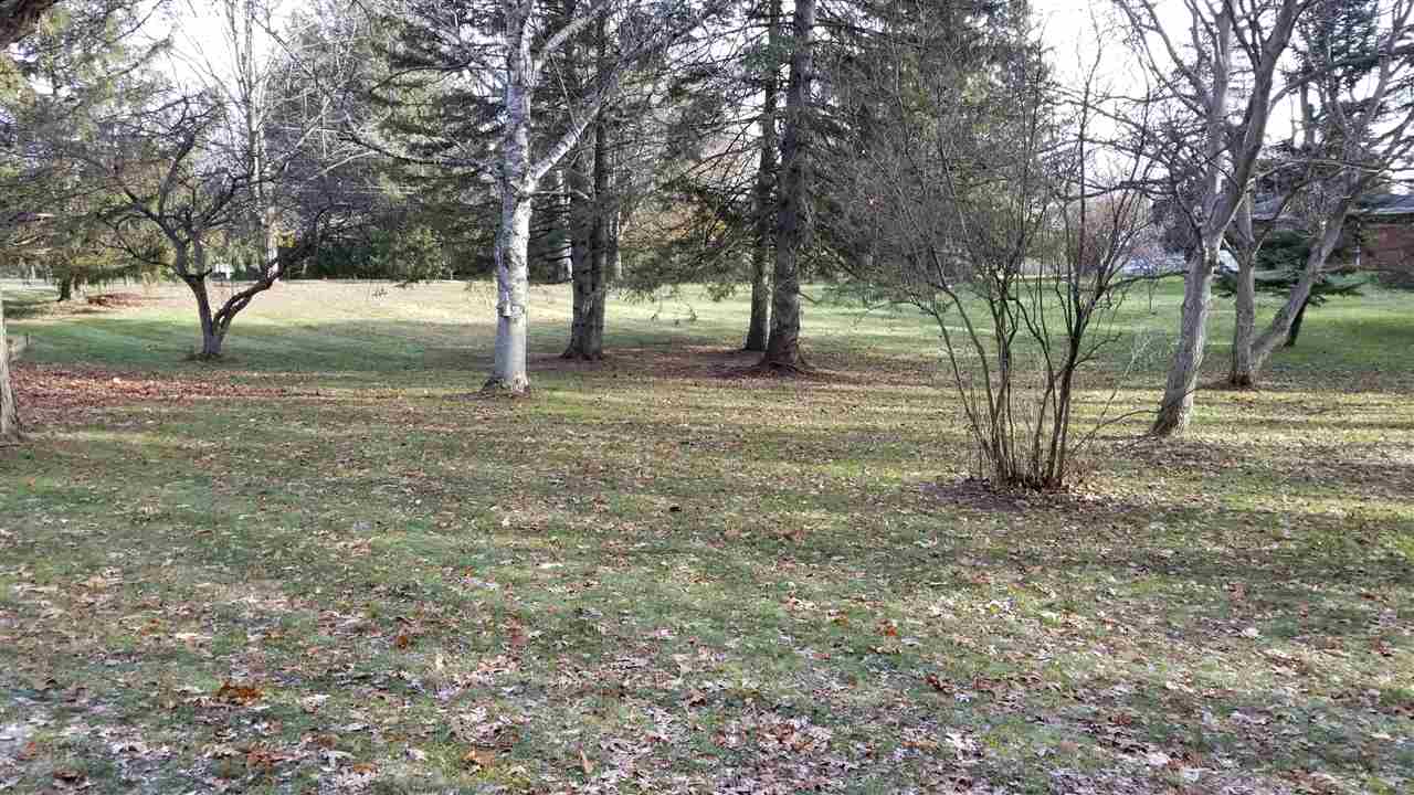 545 Whims Lane Rochester, MI 48306 - Photo 31 of 31 Backyard/Land