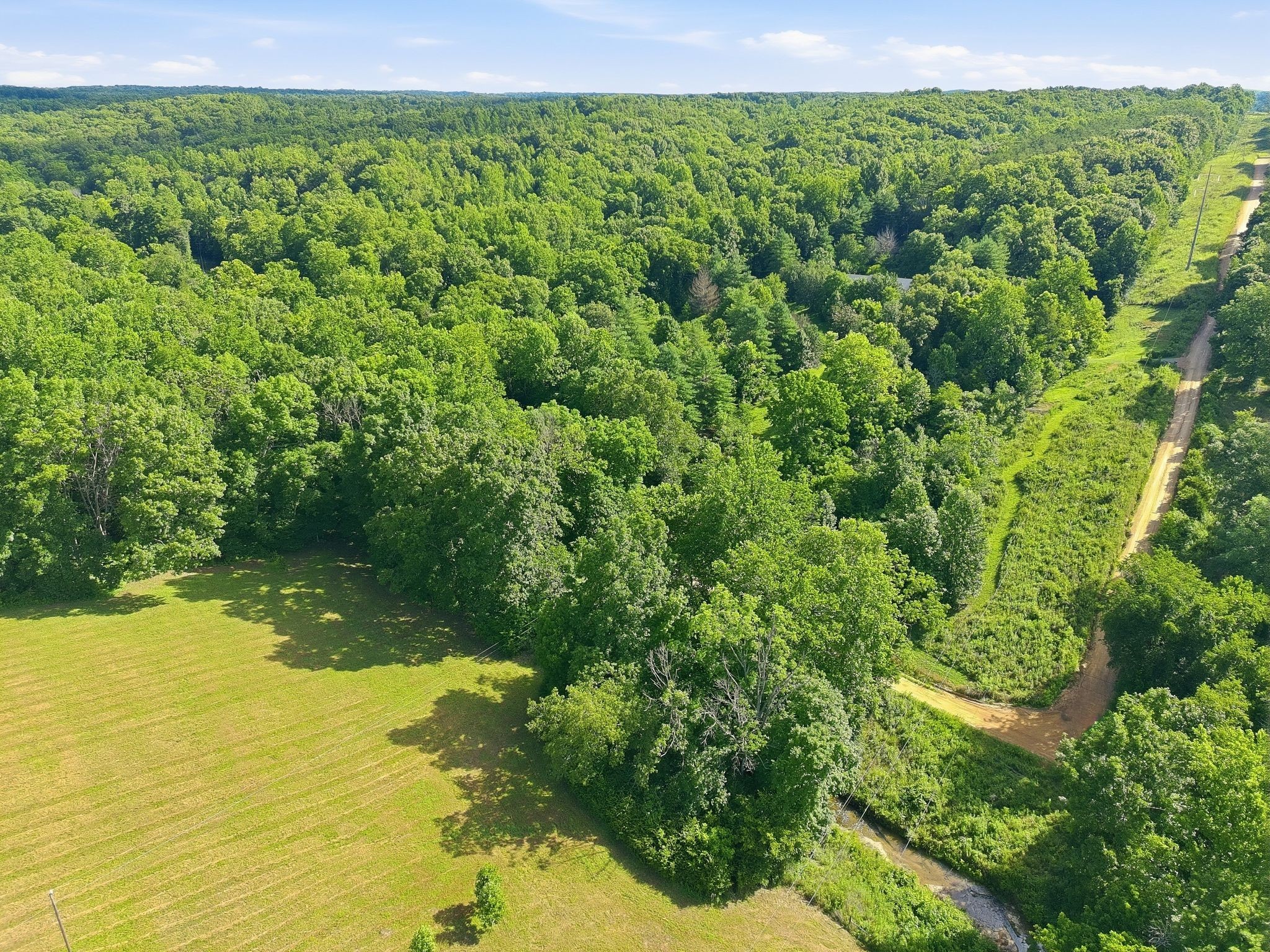0 Alex Goins Road Lyles, TN 37098 - Photo 6 of 27 Gallery Image 6