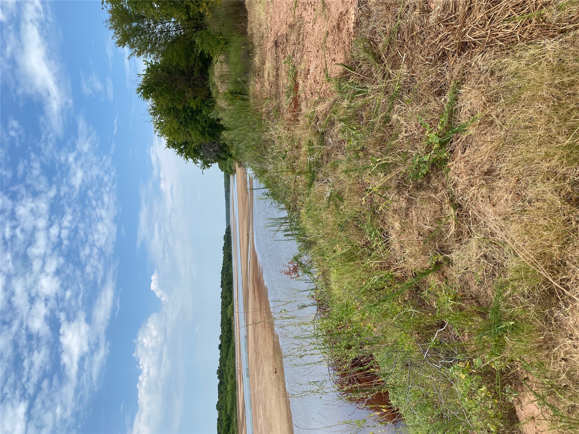 0 Mac Frazier Road Leon, OK 73441 - Photo 7 of 28 Riverfront property with natural vegetation and sandy riverbanks