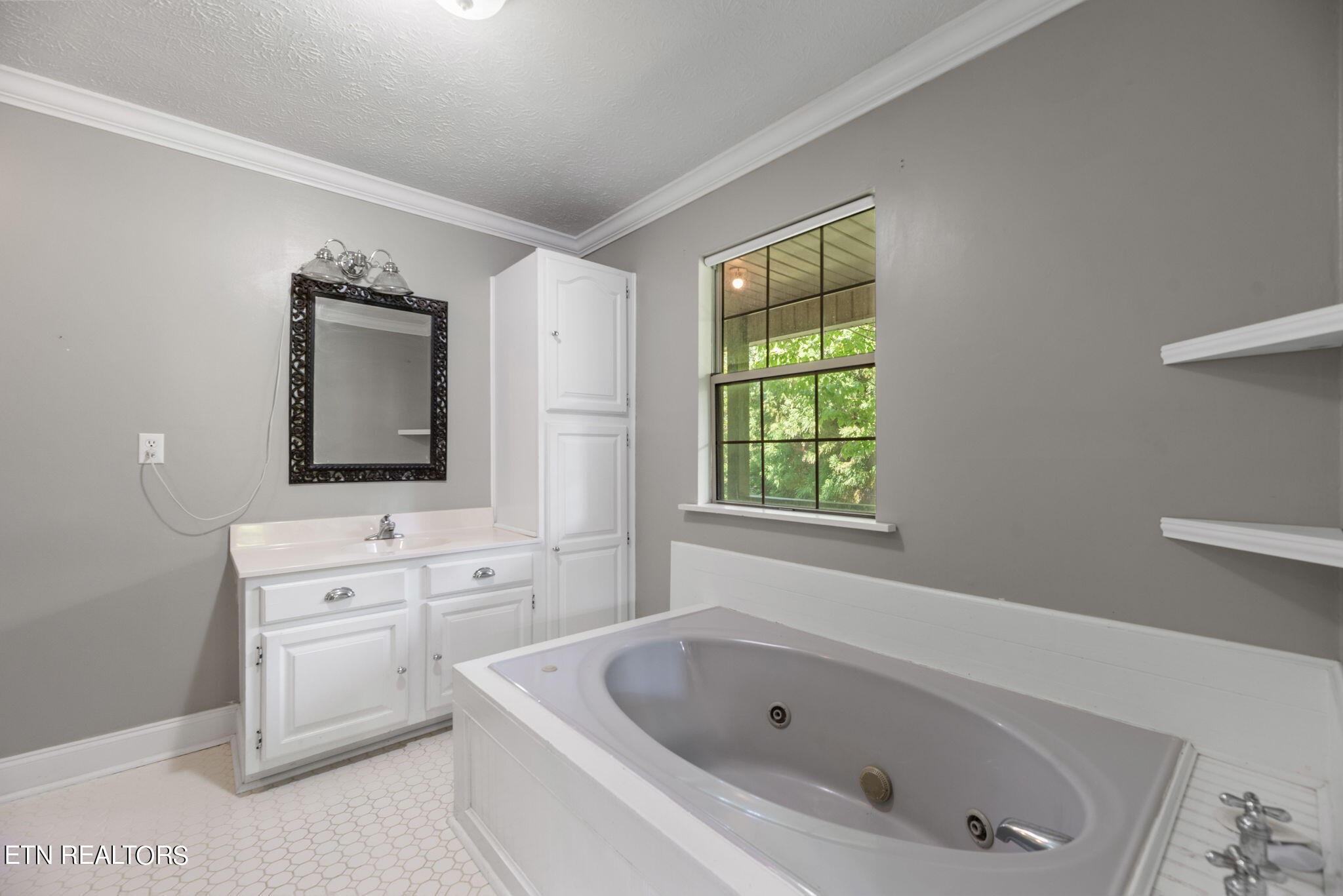 814 Little Valley Road Blaine, TN 37709 - Photo 19 of 44 Gallery Image 19