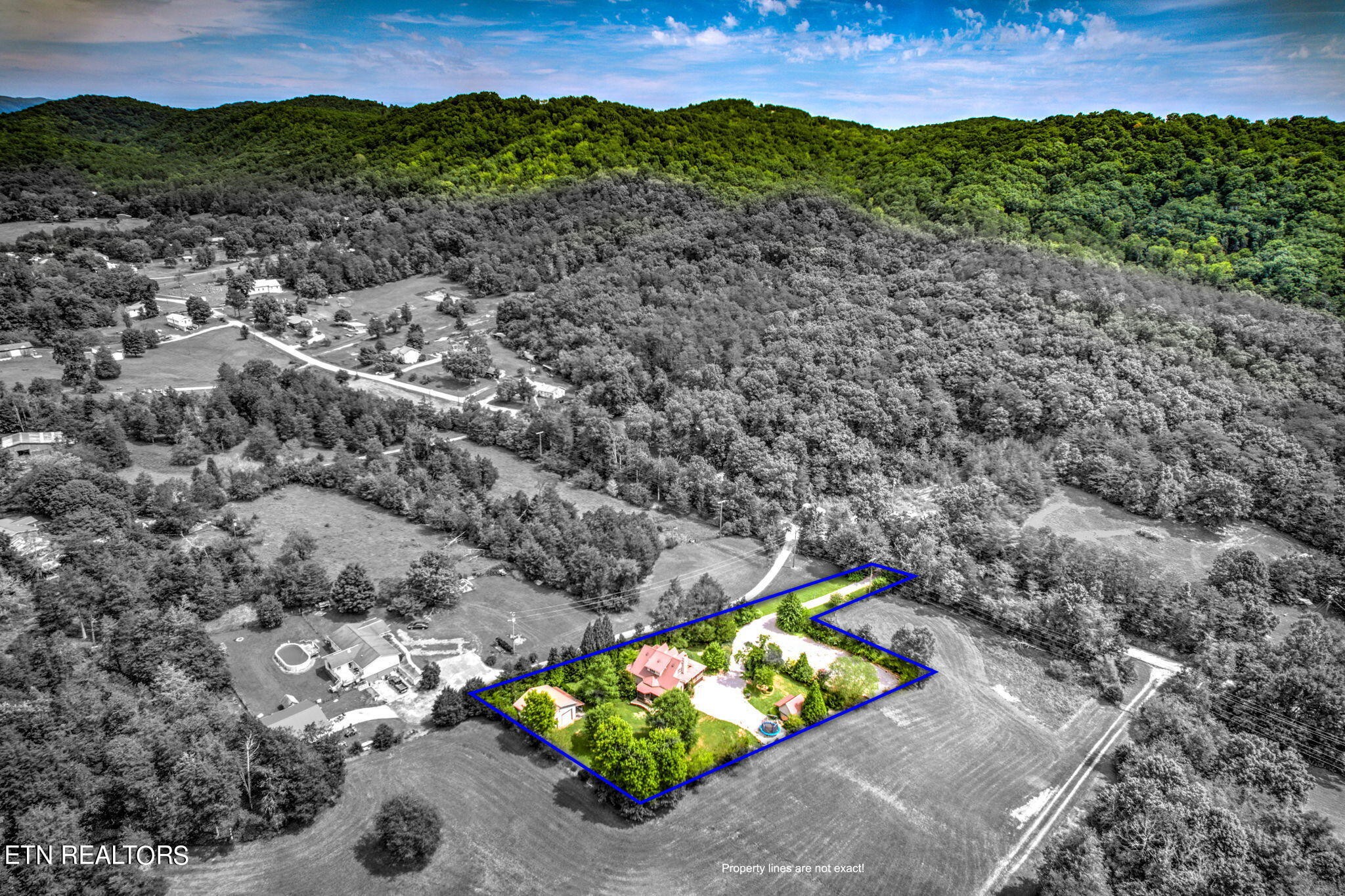 814 Little Valley Road Blaine, TN 37709 - Photo 37 of 44 Gallery Image 37