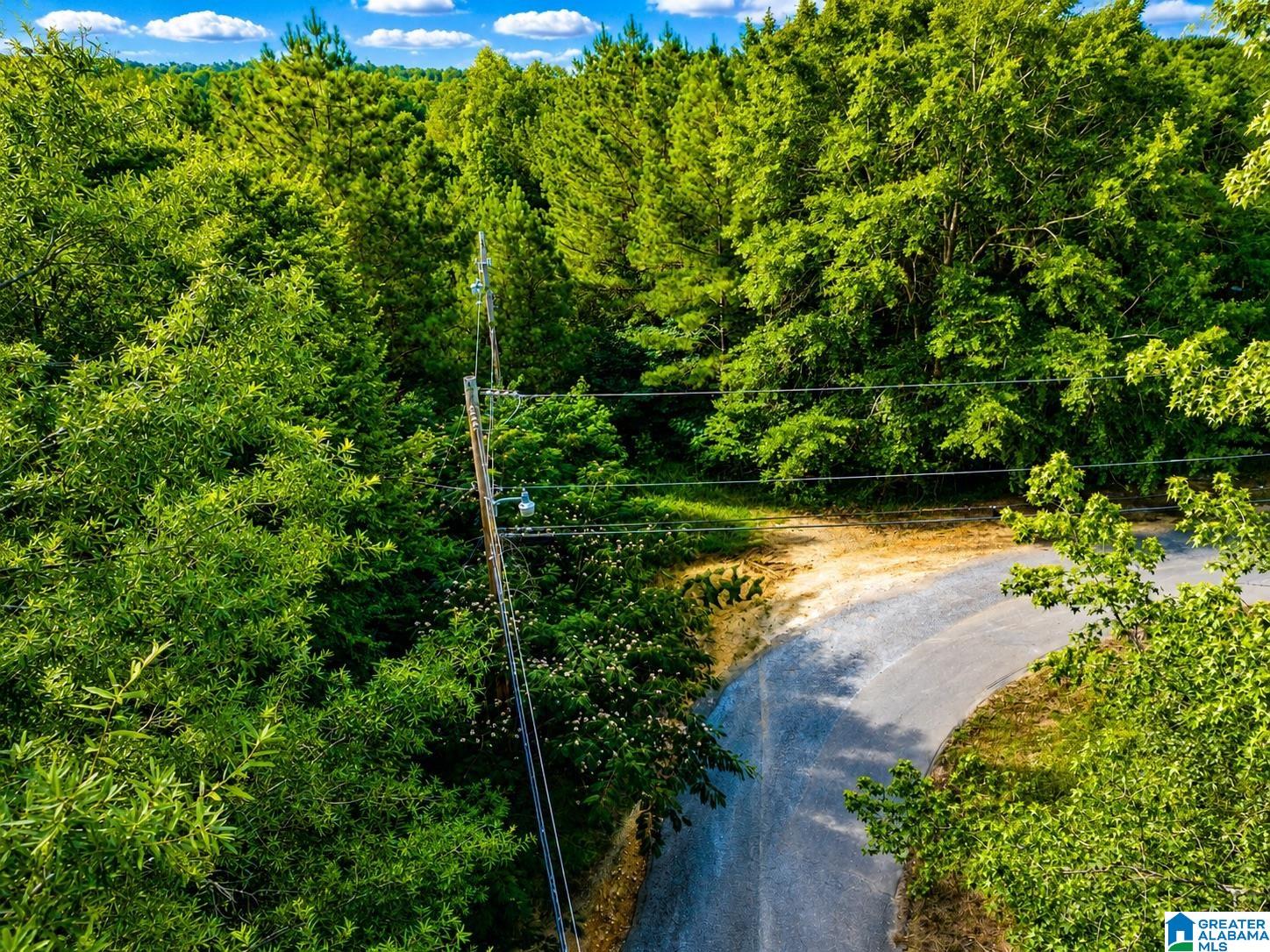 Off Of Penny Lane, Unit 54 Odenville, AL 35120 - Photo 8 of 25