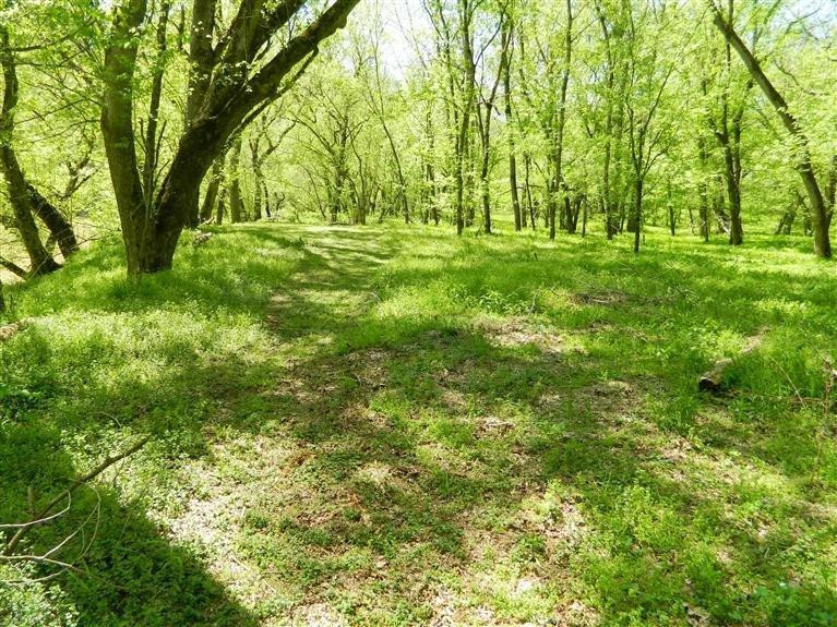 5099 Dry Branch Road Lexington, KY 40515 - Photo 43 of 45 Photo 43