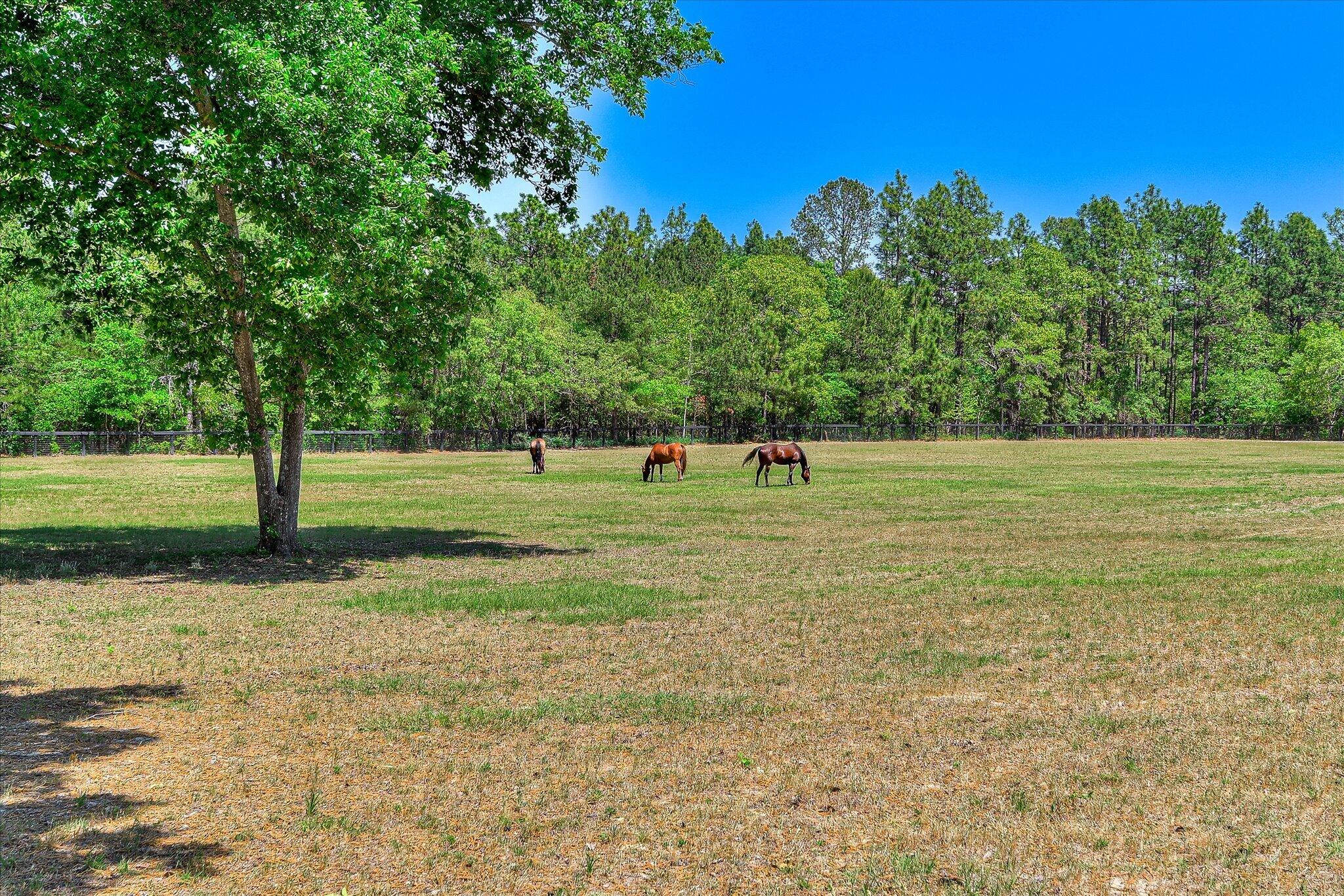 2066 Joyner Pond Road Aiken, SC 29803 - Photo 48 of 66 62-162