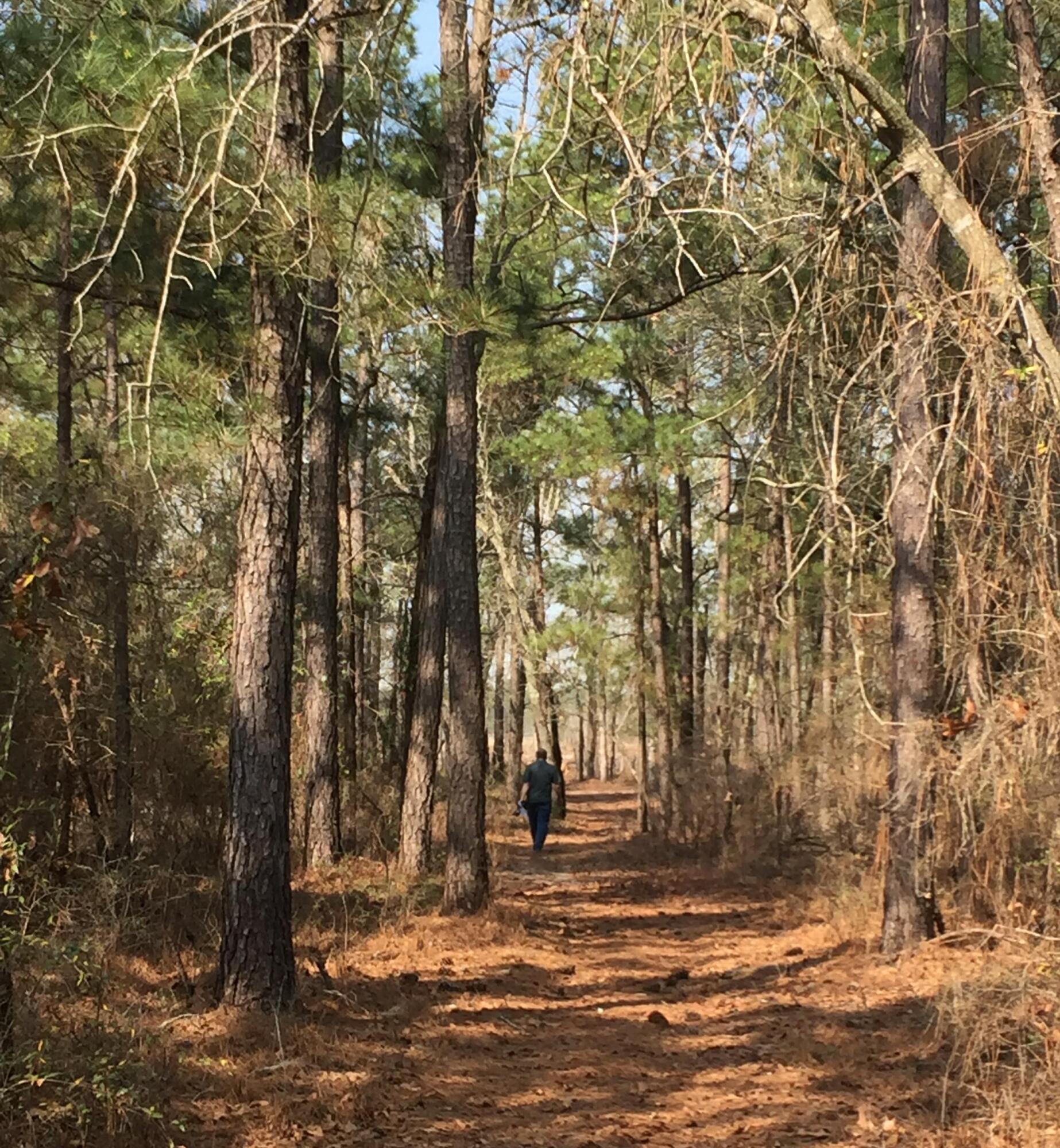 2066 Joyner Pond Road Aiken, SC 29803 - Photo 63 of 66 trail4