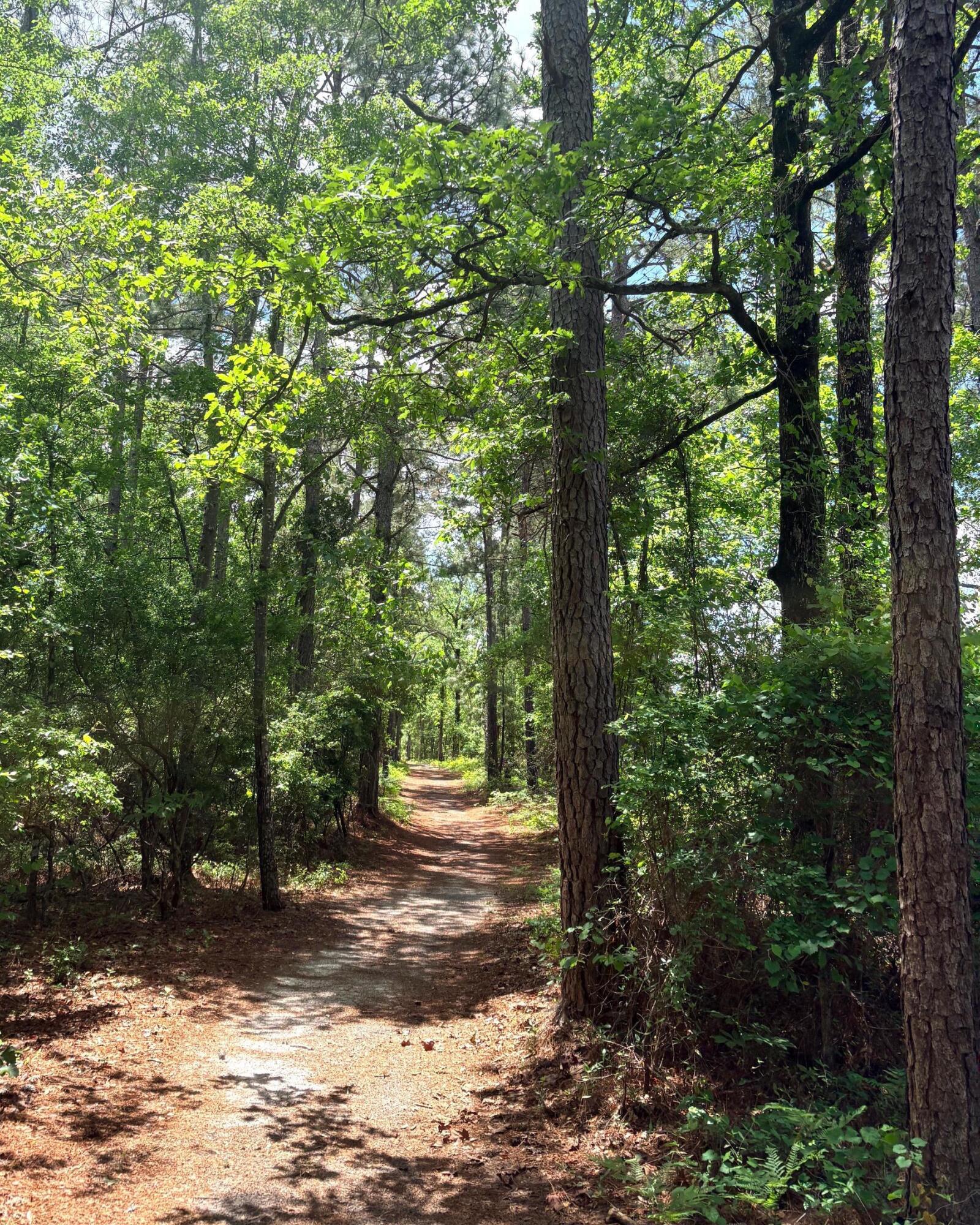 2066 Joyner Pond Road Aiken, SC 29803 - Photo 64 of 66 trail1