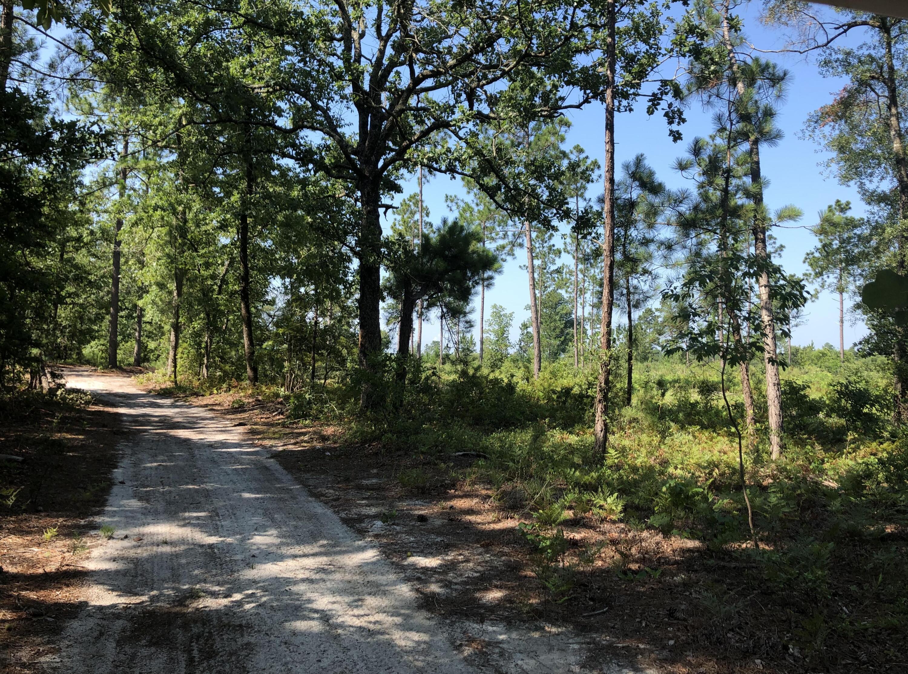 2066 Joyner Pond Road Aiken, SC 29803 - Photo 65 of 66 trail5
