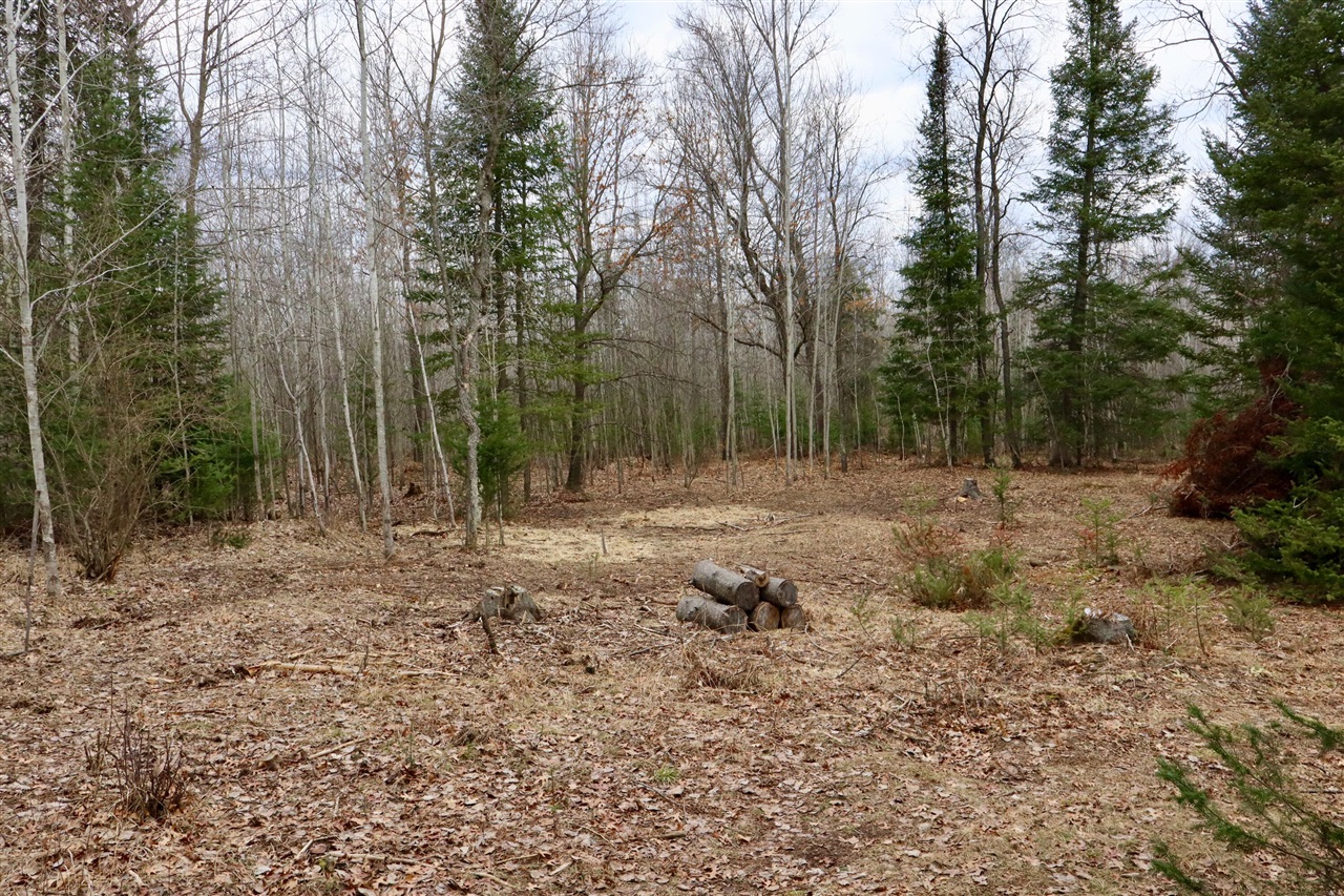 11048 Wilson Road Lake City, MI 49651 - Photo 66 of 89 Gallery Image 66