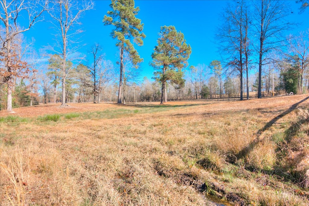 861 Colbert Bridge Road Aiken, SC 29803 - Photo 47 of 52