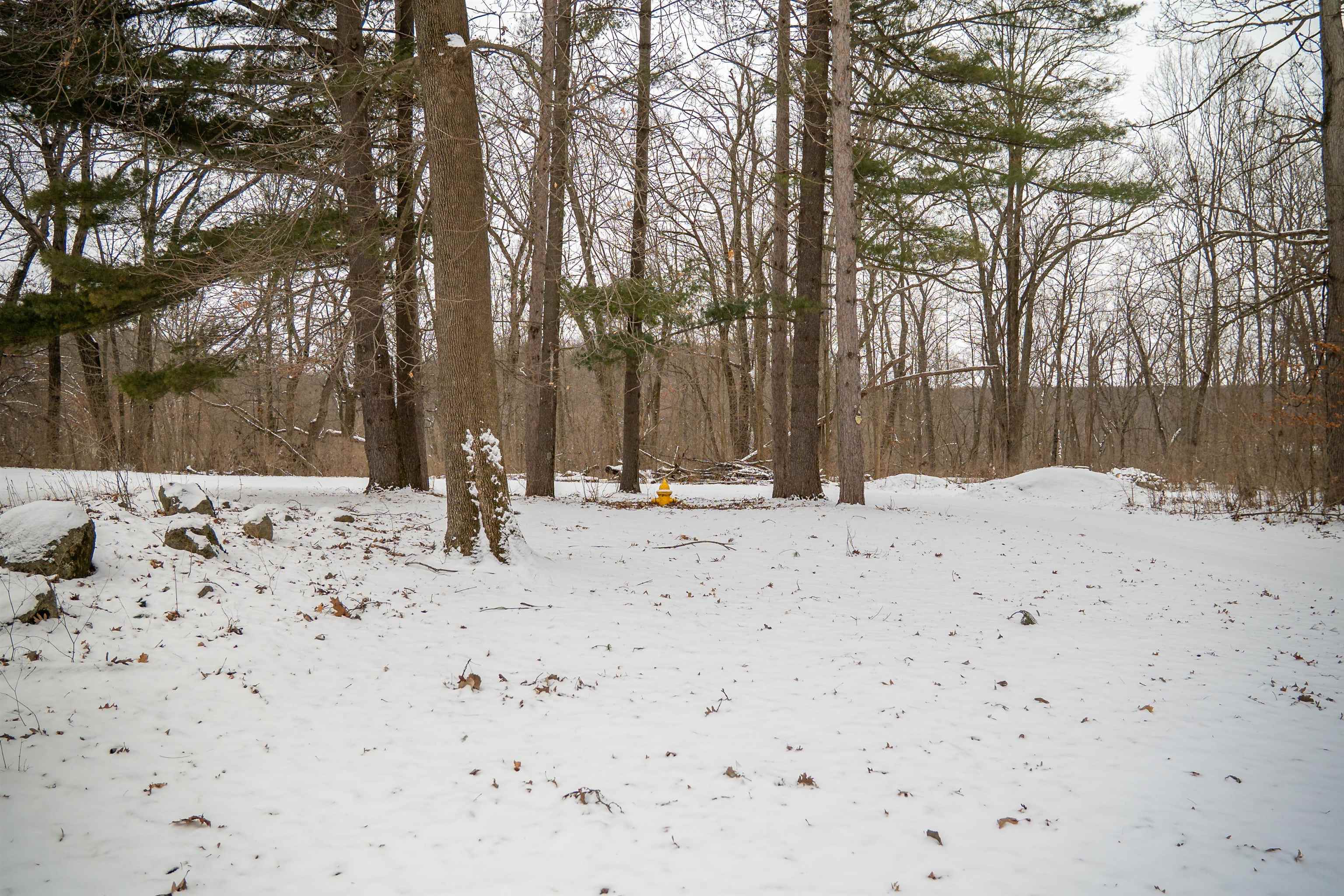 10343 North Girl Scout Road Stillman Valley, IL 61084 - Photo 84 of 94