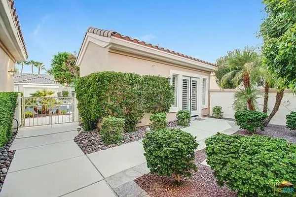 a view of a backyard with plants and palm tree
