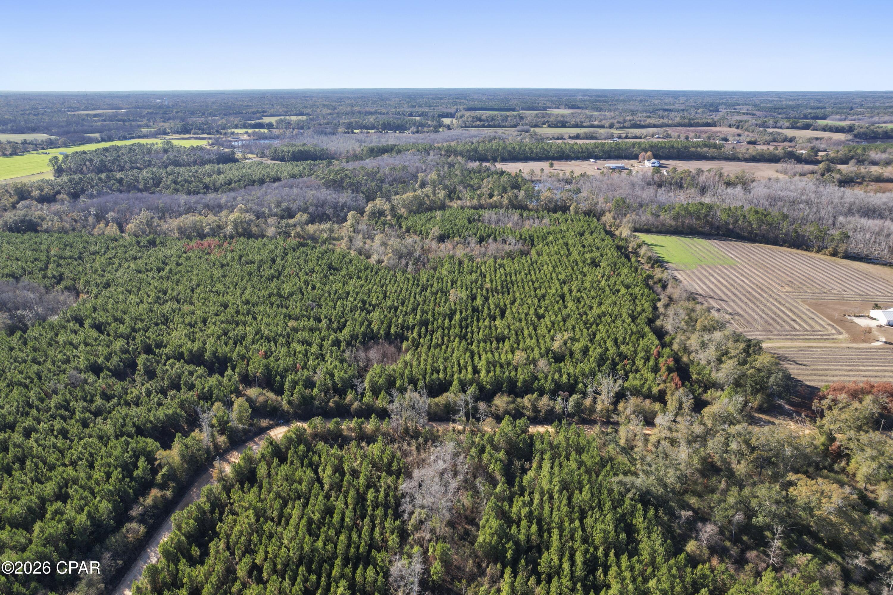 0 New Prospect Road Chipley, FL 32428 - Photo 14 of 19 Gallery Image 14