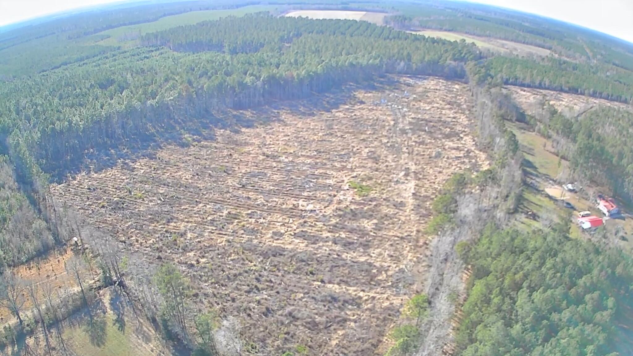 Tbd East Mt Carmel Road Walterboro, SC 29488 - Photo 2 of 2 22.75 ACRES (1)