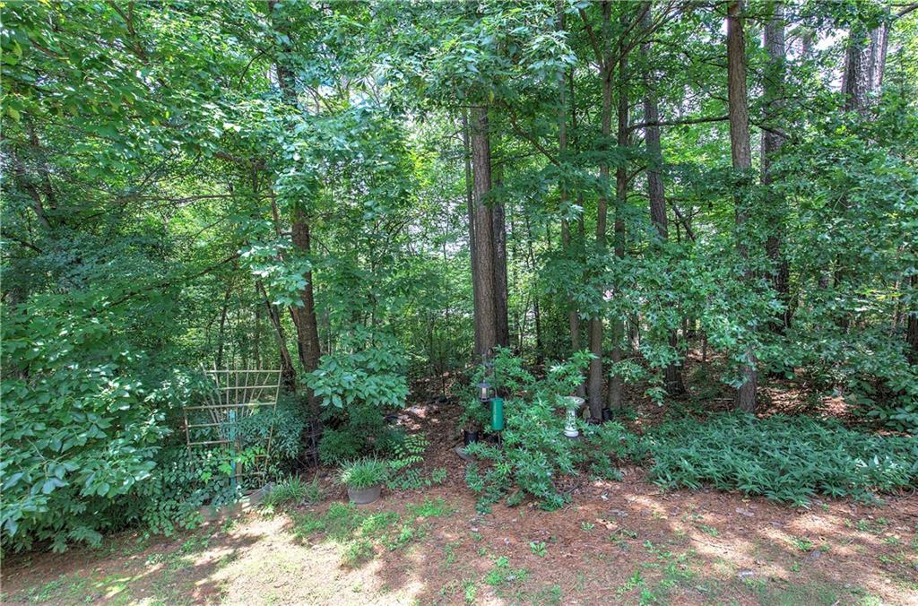 105 Timber Ridge Drive Cartersville, GA 30121 - Photo 37 of 41