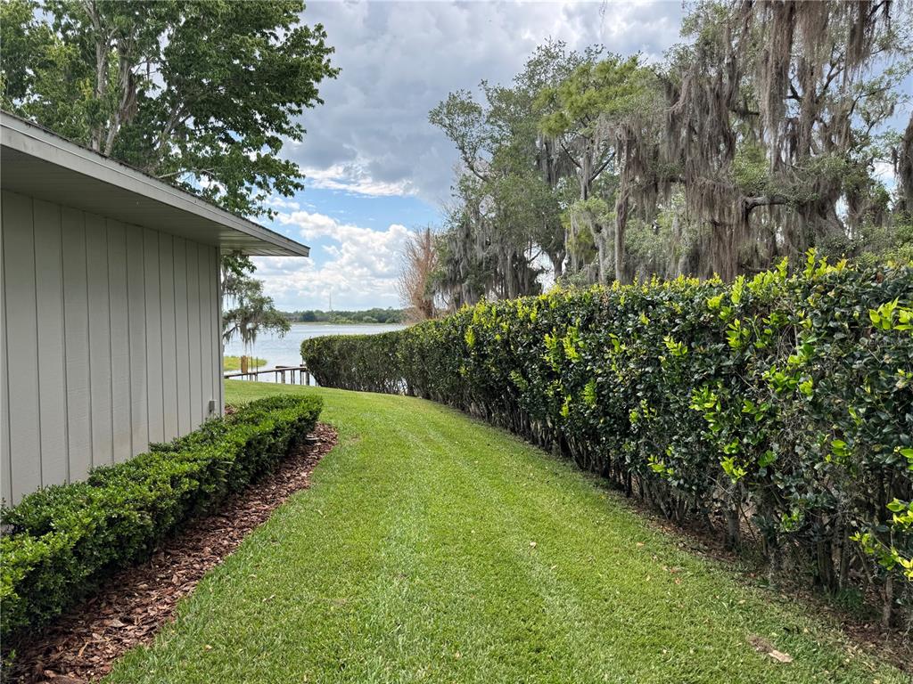 334 West F Street Frostproof, FL 33843 - Photo 48 of 48 a view of a yard with plants and large trees