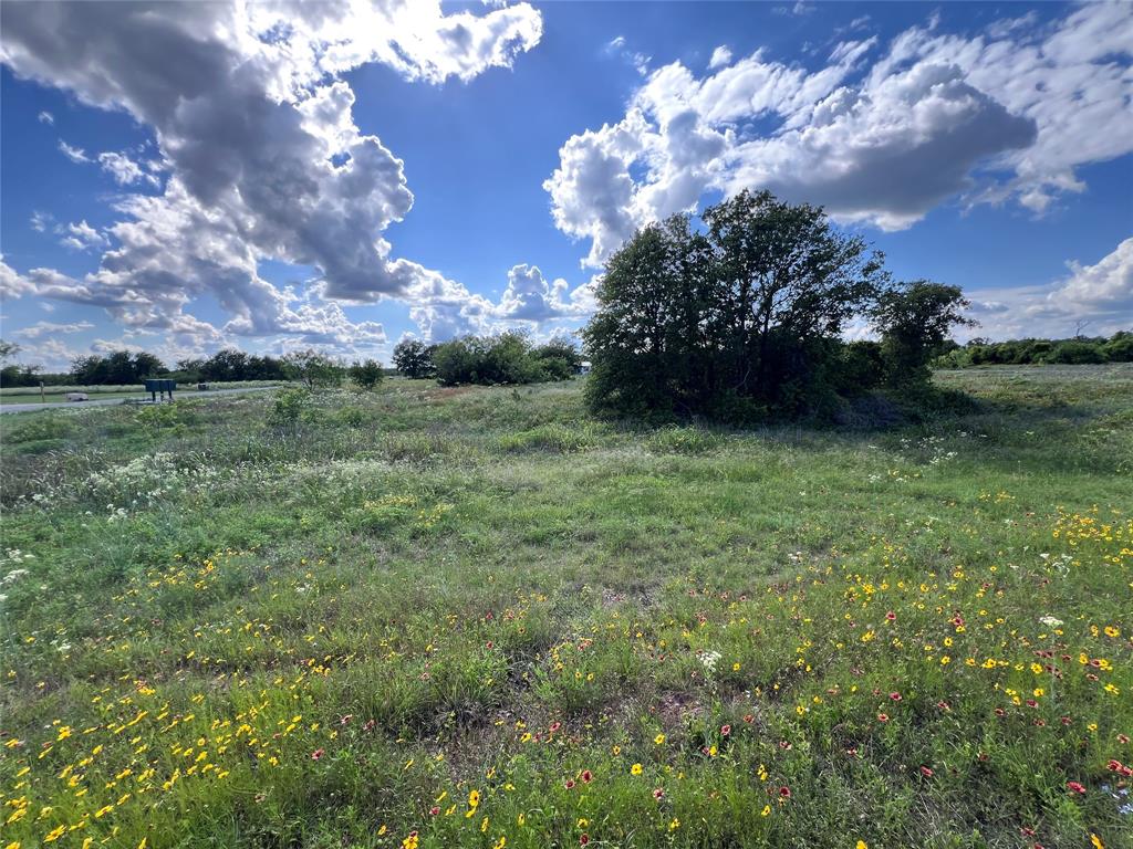 Tbd Lot 20 Tbd Trail Clyde, TX 79510 - Photo 3 of 18 a view of a golf course with green space