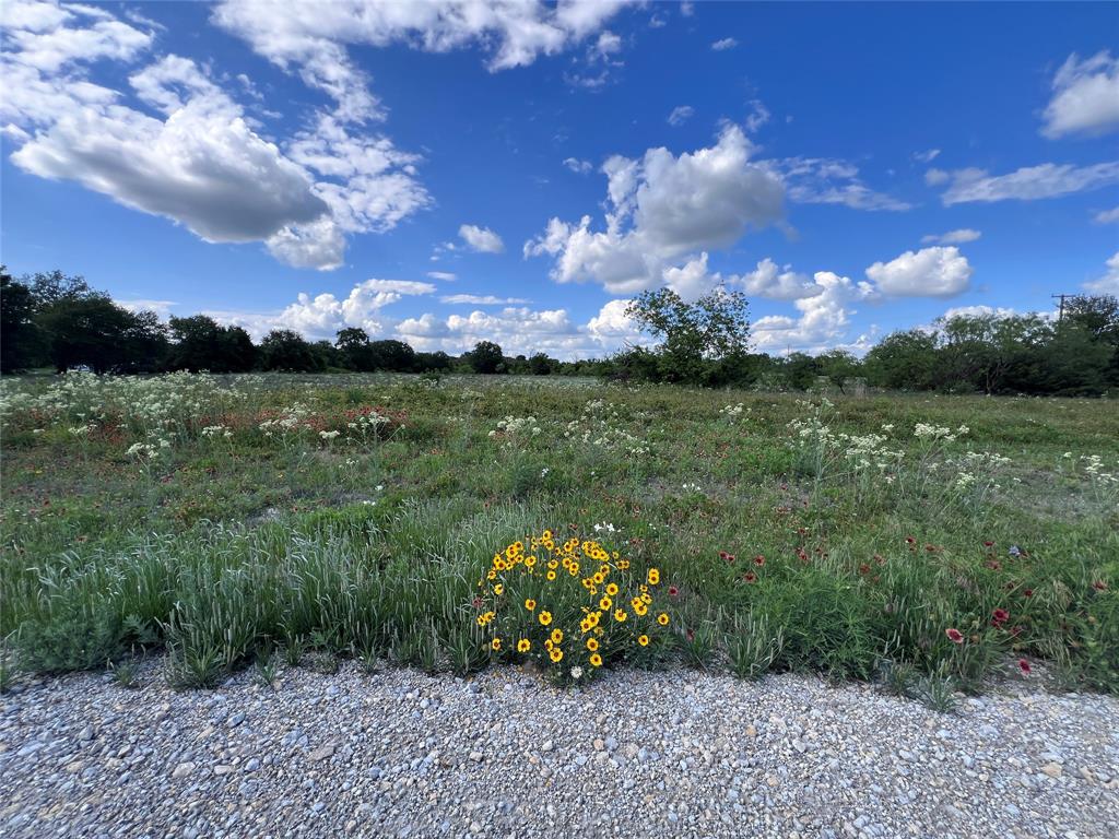 Tbd Lot 20 Tbd Trail Clyde, TX 79510 - Photo 7 of 18 a view of a garden with an umbrella