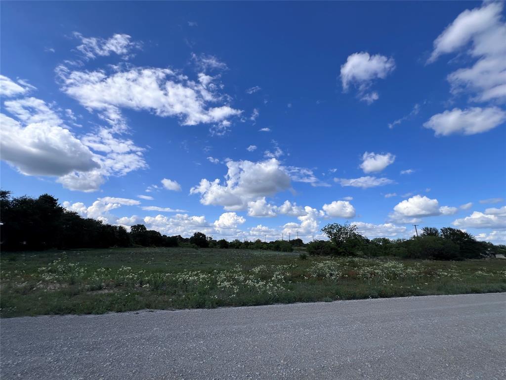 Tbd Lot 20 Tbd Trail Clyde, TX 79510 - Photo 9 of 18 a view of a yard with flower plants and large tree