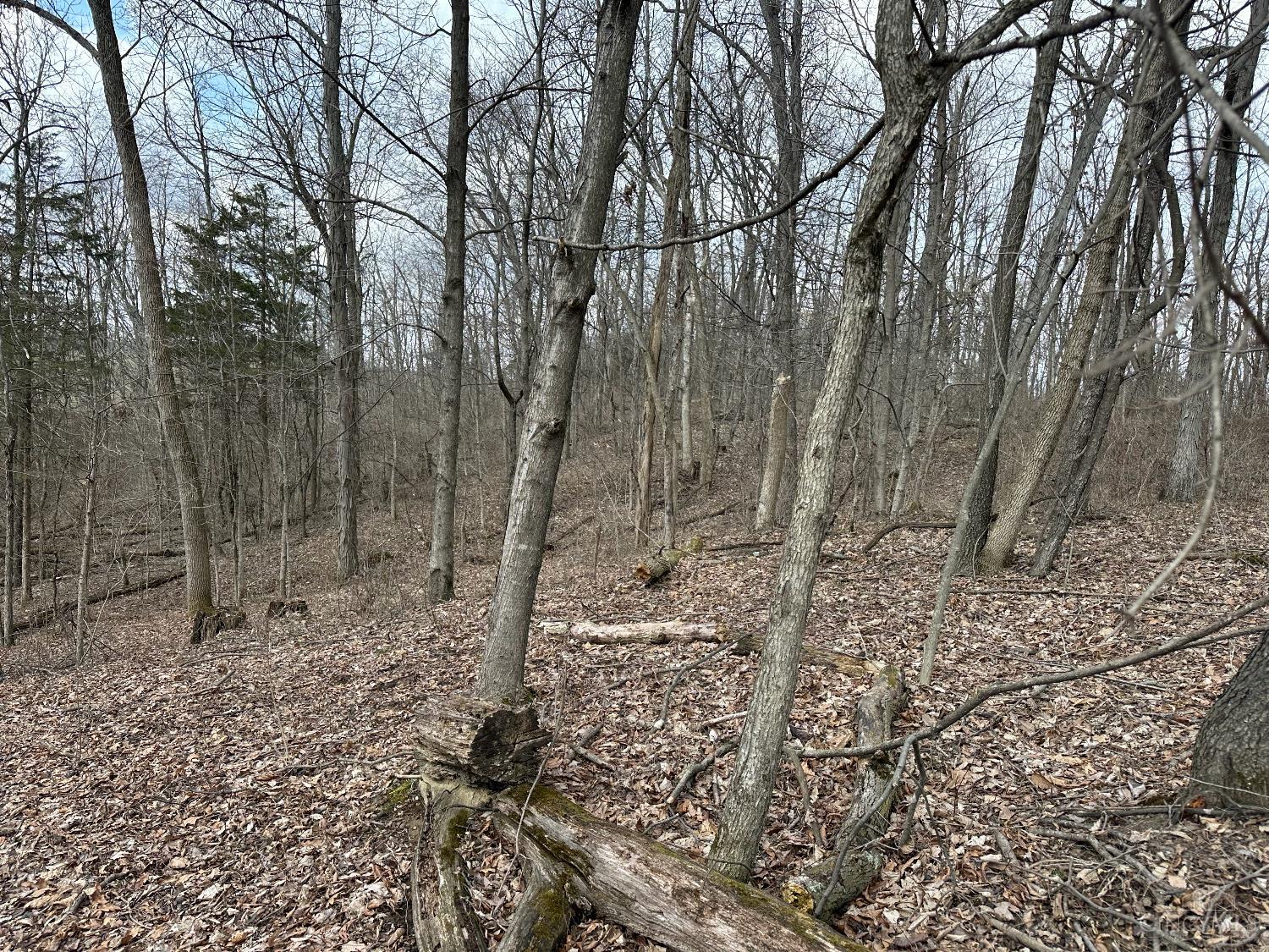 0 Wilson Road Winchester, OH 45697 - Photo 59 of 69