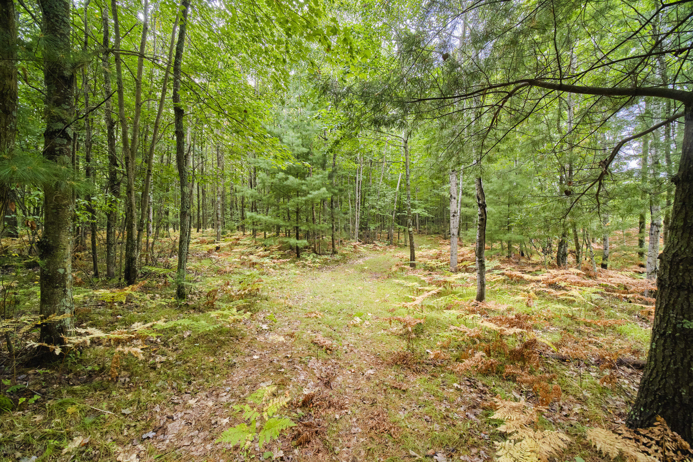 8089 Hunter Ridge Trail Copemish, MI 49625 - Photo 54 of 61 8089 Hunter's Ridge