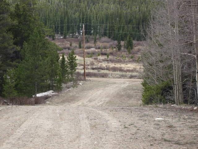 Tbd Arts Pike Road Fairplay, CO 80440 - Photo 5 of 7 Gallery Image 5