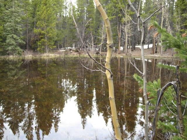 Tbd Arts Pike Road Fairplay, CO 80440 - Photo 6 of 7 Gallery Image 6