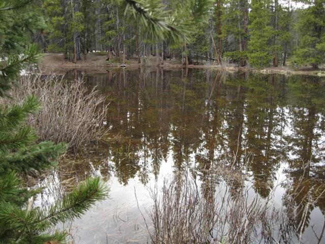 Tbd Arts Pike Road Fairplay, CO 80440 - Photo 7 of 7 Gallery Image 7
