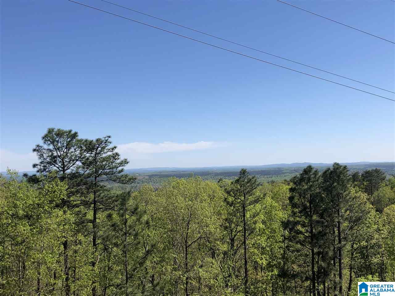1234 High Road, Unit 1 Columbiana, AL 35051 - Photo 26 of 38