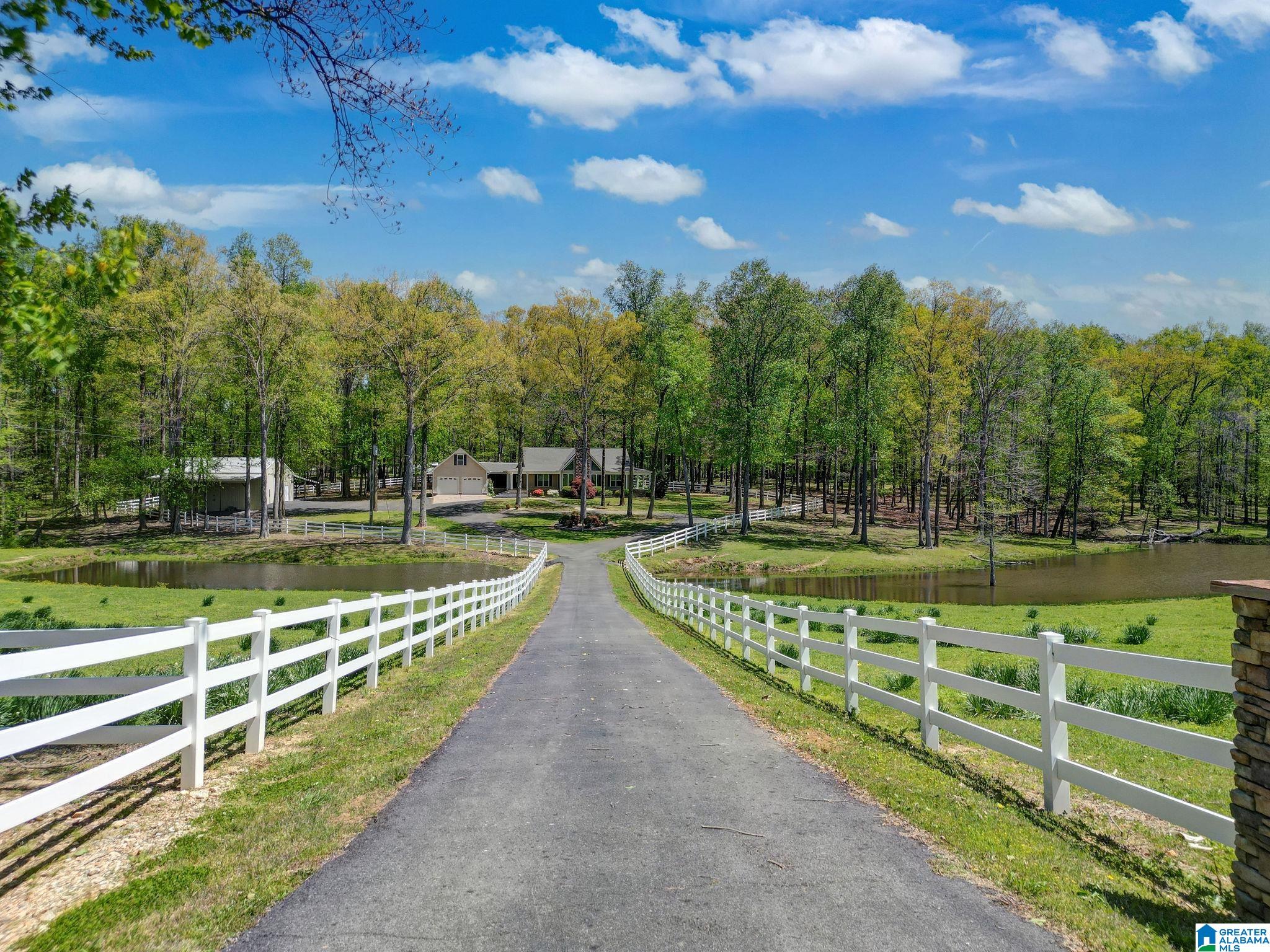 253 County Road 203 Boaz, AL 35957 - Photo 45 of 59