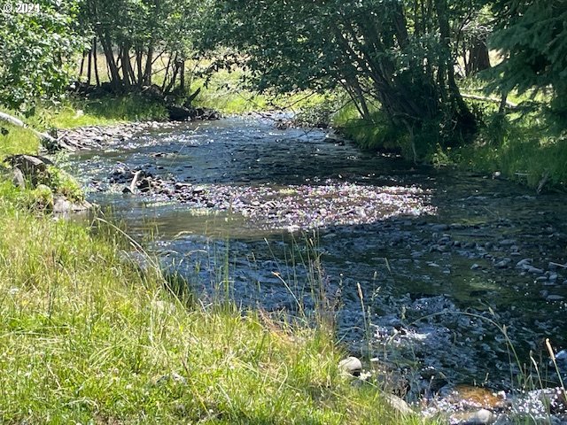 62254 Wallowa Mtn Loop Road Joseph, OR 97846 - Photo 18 of 35 a view of a garden with a tree