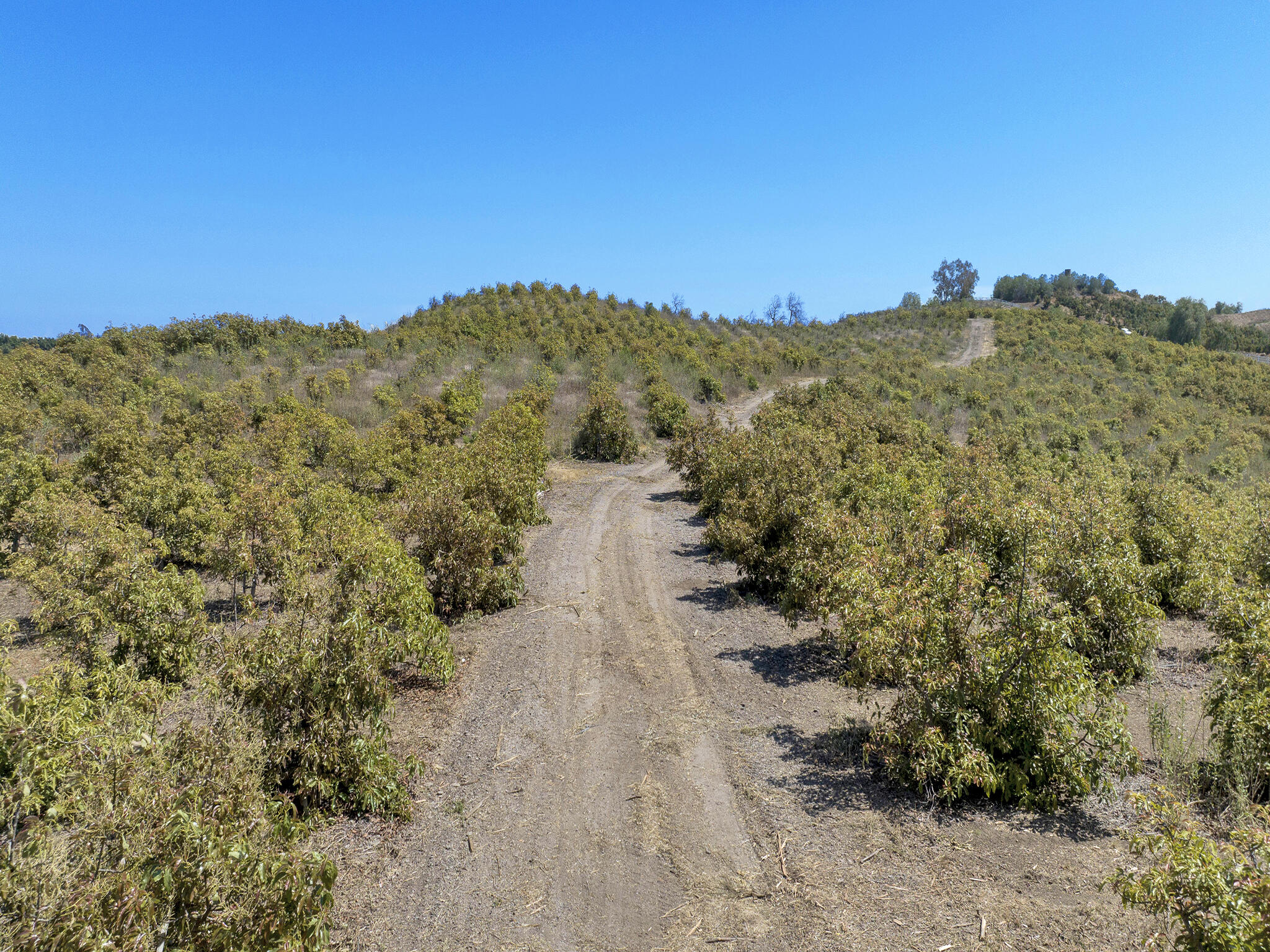 7905 Balcom Canyon Road Somis, CA 93066 - Photo 90 of 96 7905 Balcom Canyon Rd, Somis -HsHProd-15