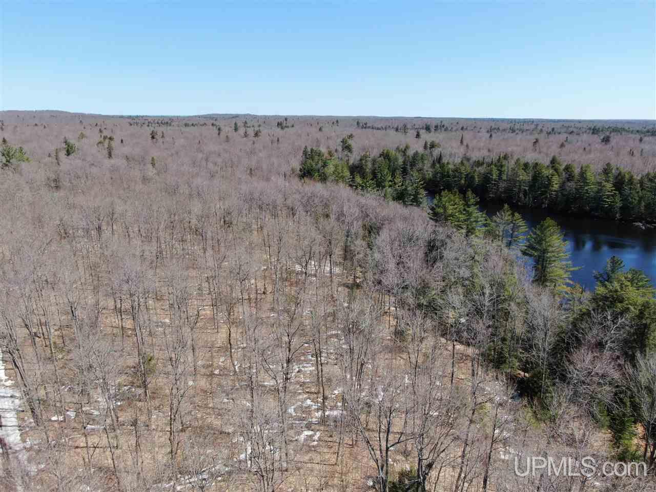 0 Rhody Cr, Unit CARTER LAKE RDP Seney, MI 49883 - Photo 3 of 36