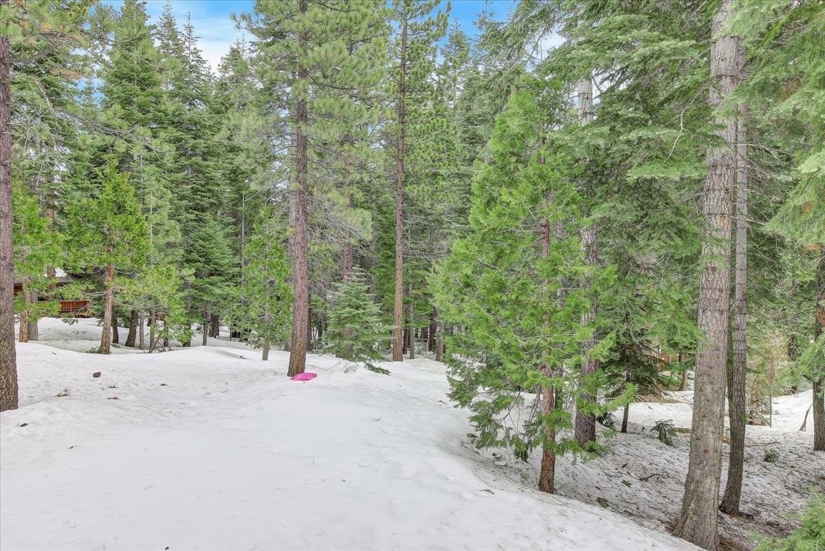 4474 North Ridge Road Carnelian Bay, CA 96140 - Photo 15 of 21 Gallery Image 15