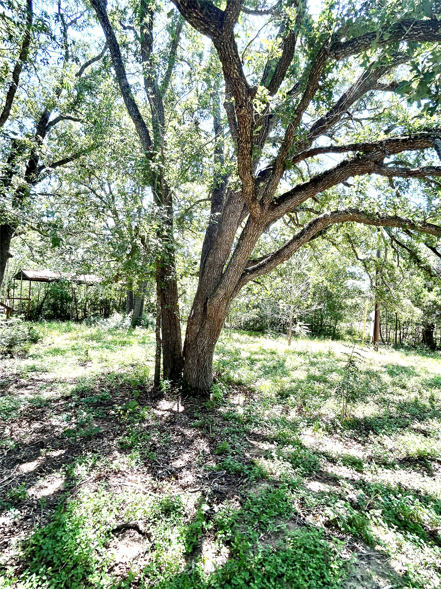 223 Foothill Road Bastrop, TX 78602 - Photo 18 of 22