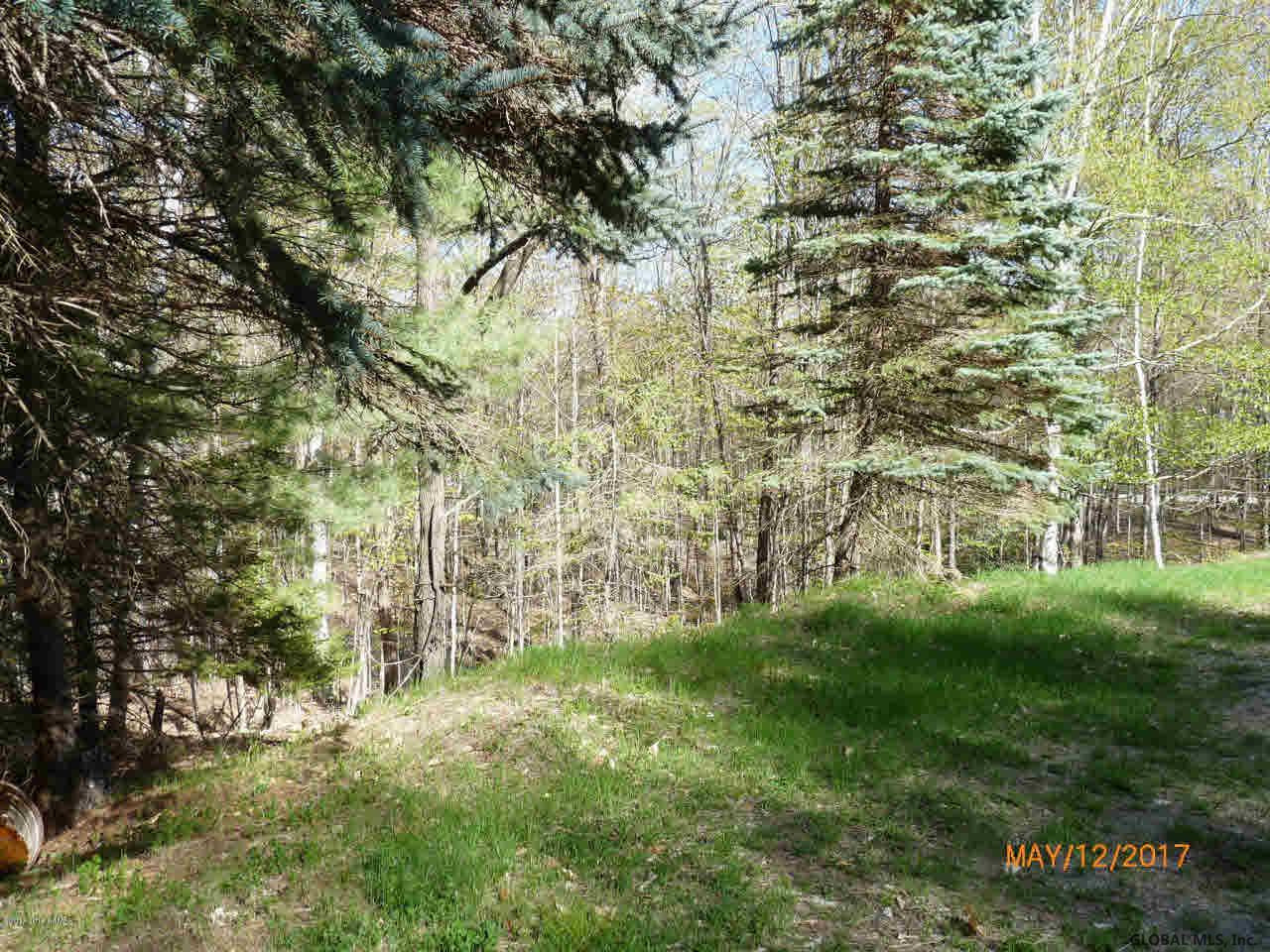 932 14th Road Minerva, NY 12851 - Photo 14 of 15 Photo 14
