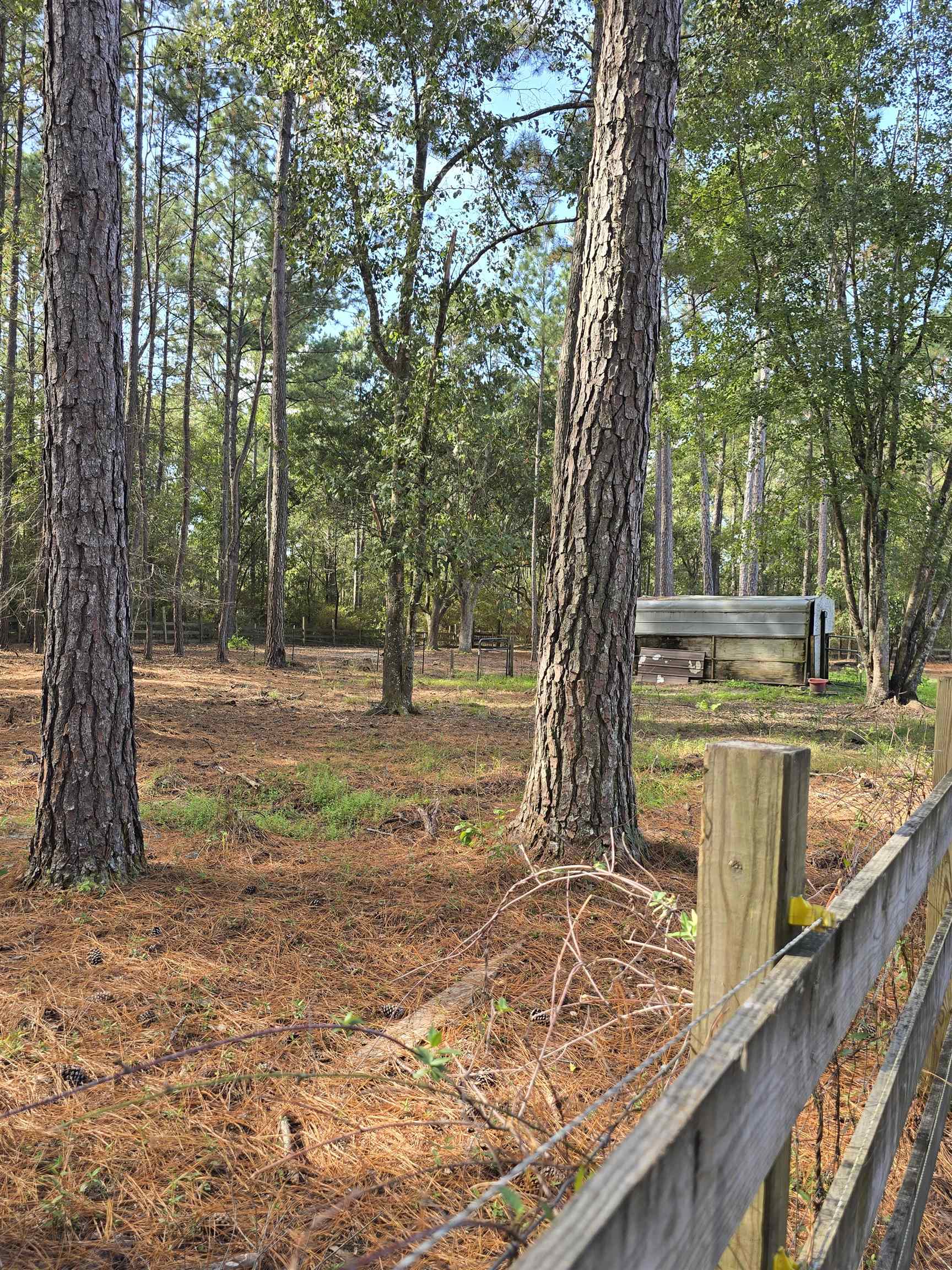19339 Cotton Patch Road Tallahassee, FL 32310 - Photo 18 of 31 Gallery Image 18