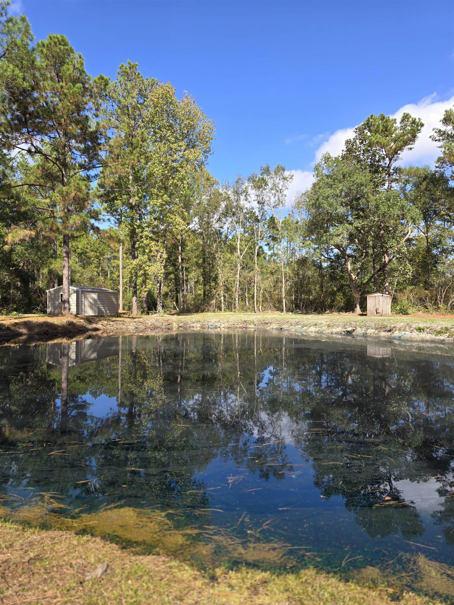 19339 Cotton Patch Road Tallahassee, FL 32310 - Photo 23 of 31 Gallery Image 23