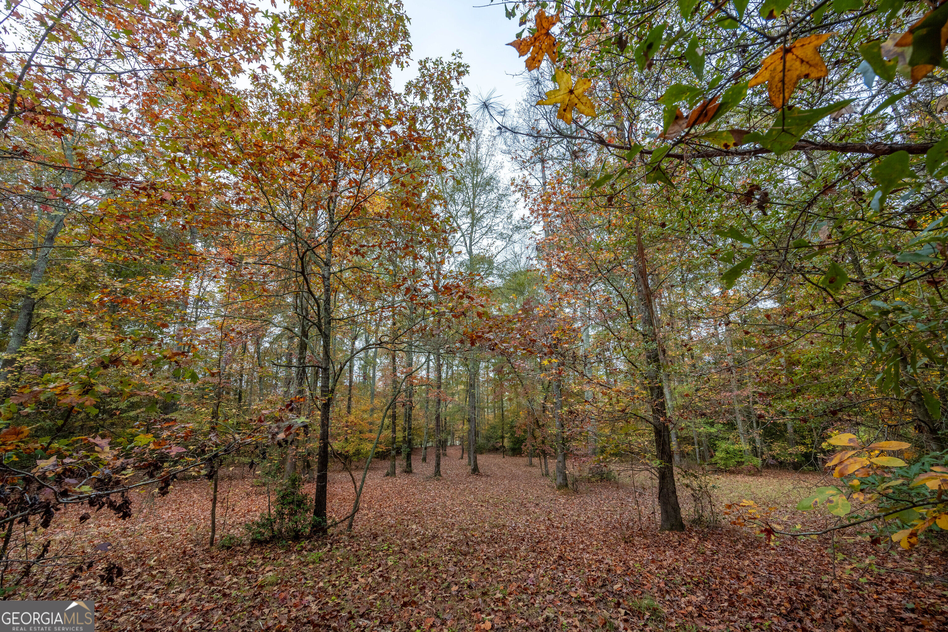 3640 Bullock Bridge Road Loganville, GA 30052 - Photo 54 of 54 Gallery Image 54