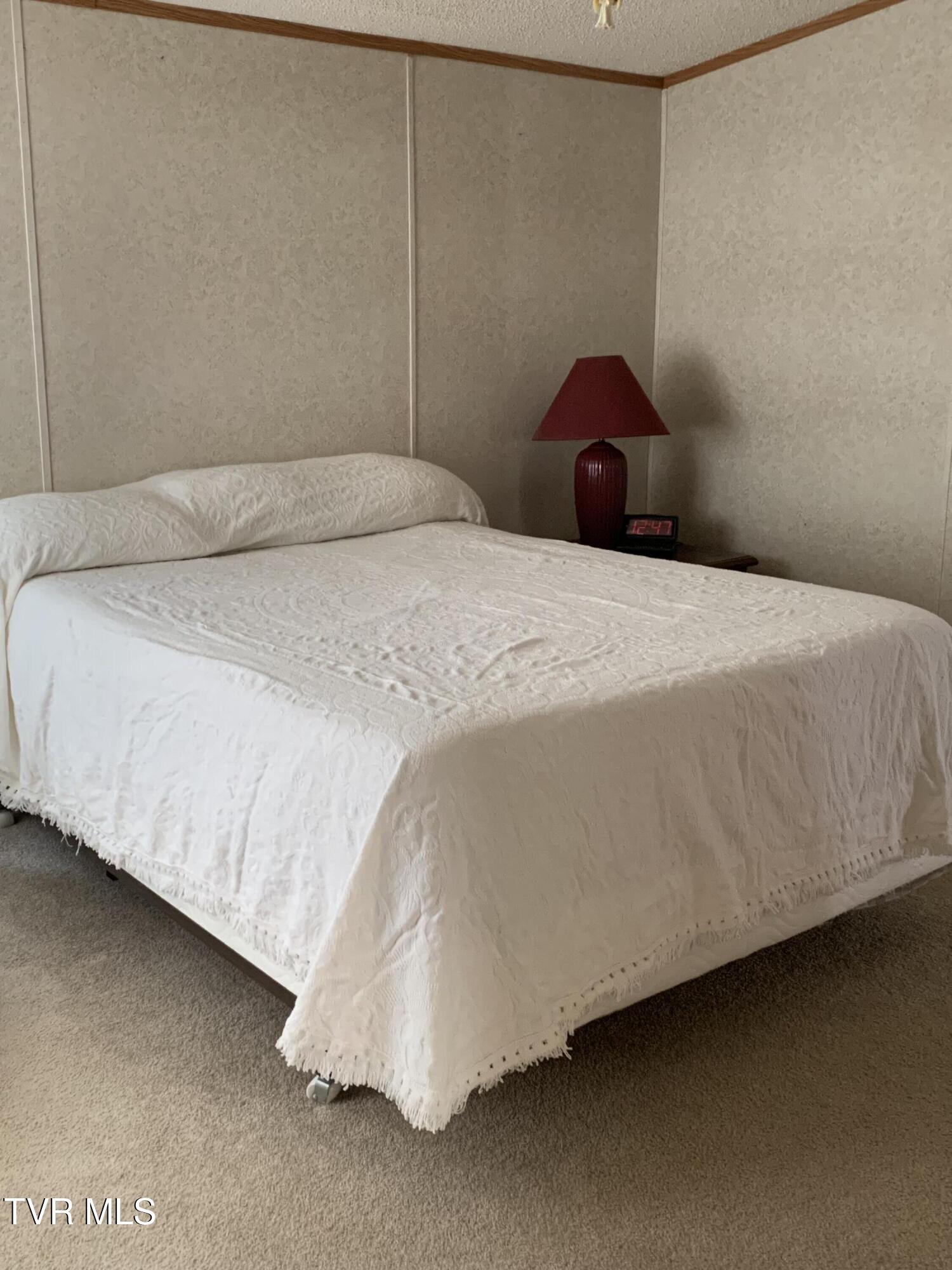 675 Shakerag Road Greeneville, TN 37743 - Photo 22 of 42 IMG_3654