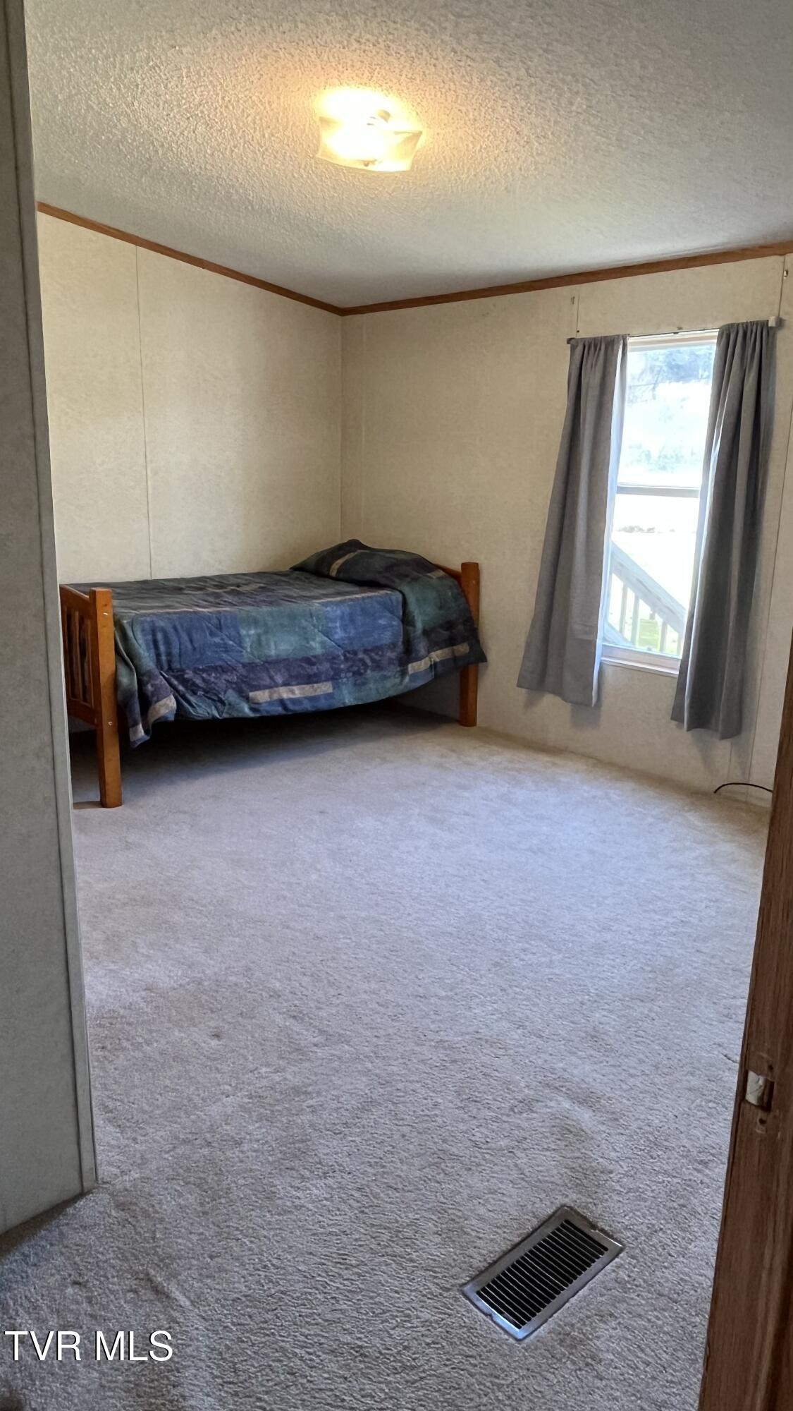 675 Shakerag Road Greeneville, TN 37743 - Photo 34 of 42 IMG_9211