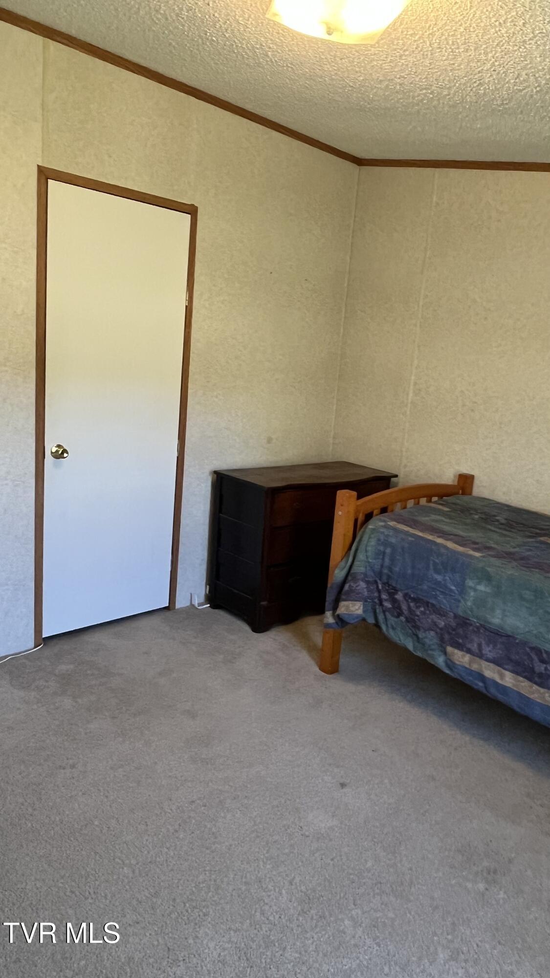 675 Shakerag Road Greeneville, TN 37743 - Photo 35 of 42 IMG_9212