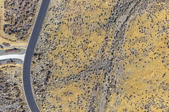 a view of a dry yard with wooden fence