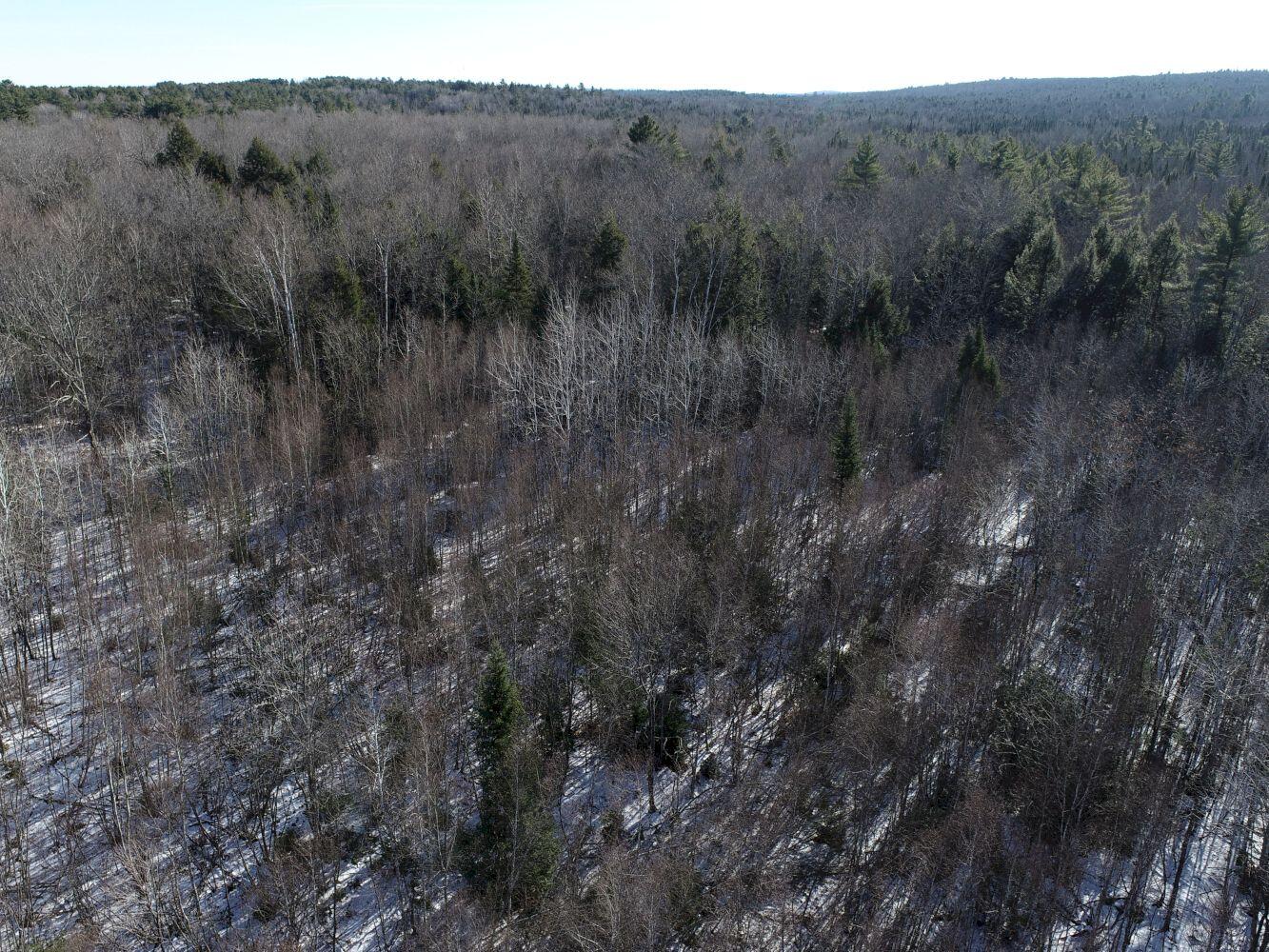 89 Town Farm Road Anson, ME 04958 - Photo 47 of 50 DJI_0016
