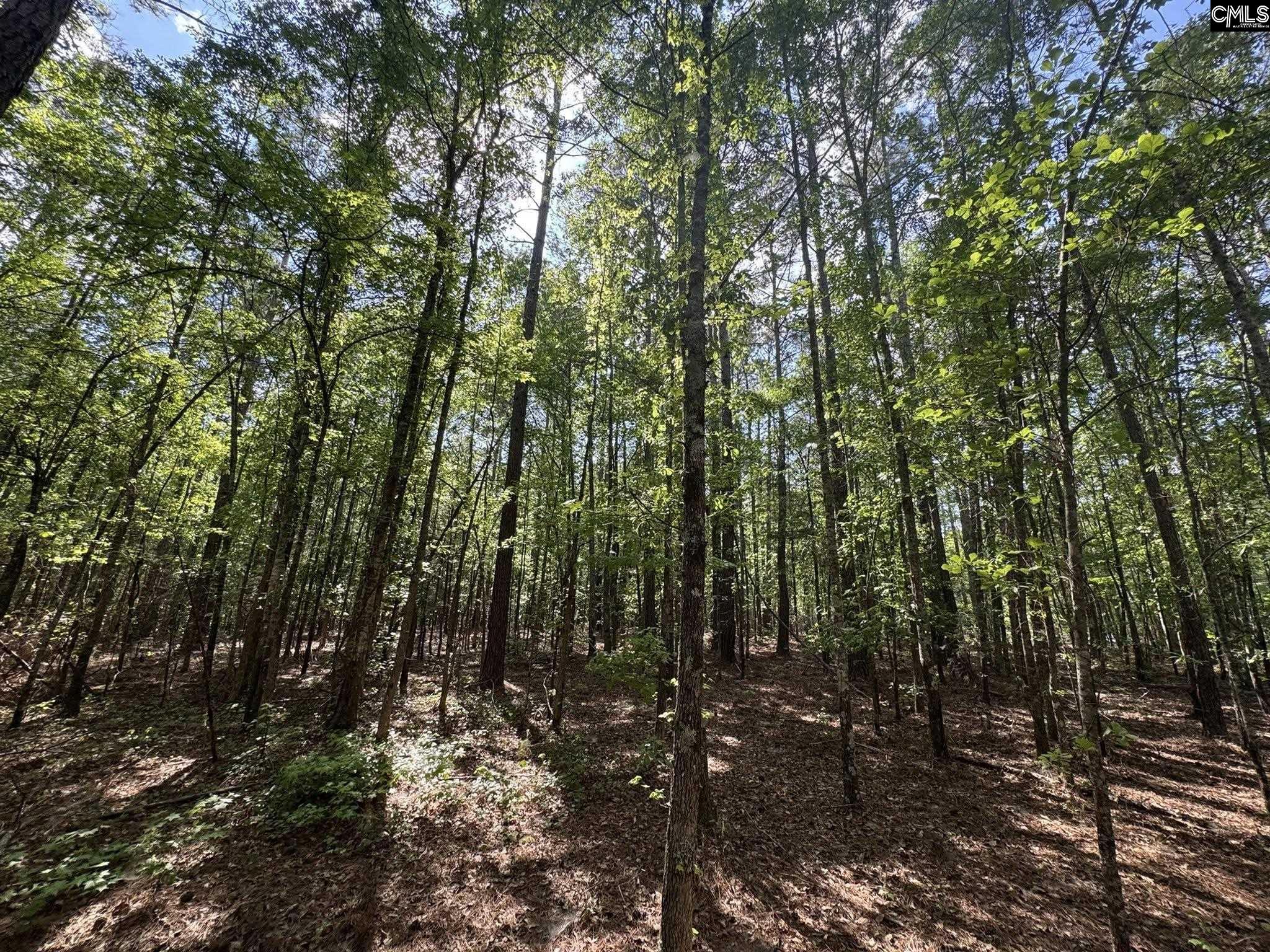 76 West W Highway Honea Path, SC 29654 - Photo 29 of 35