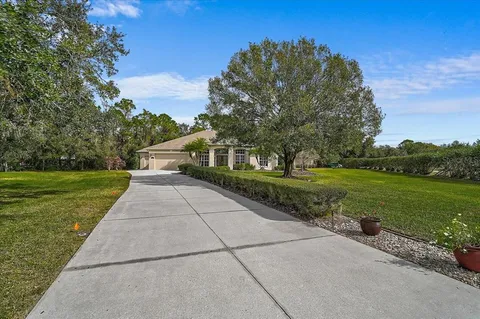 a view of green field with tree in the background