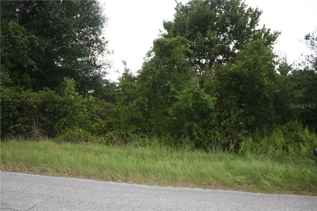 Trail Cut Road Polk City, FL 33868 - Photo 1 of 1 Gallery Image 1