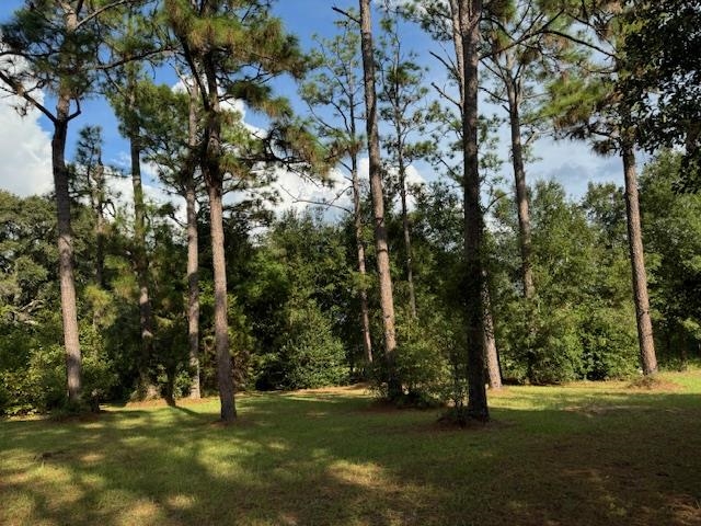 25328 Lavinia Avenue Elberta, AL 36530 - Photo 1 of 9 View