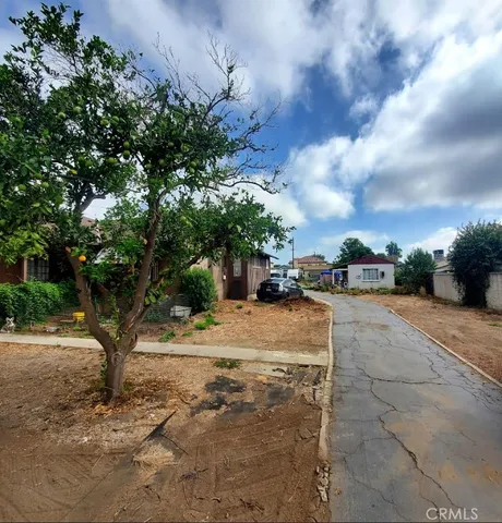 a view of a yard with plants and trees