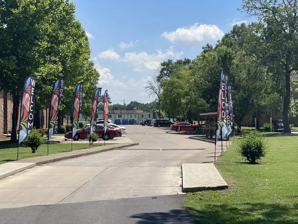a view of a park with plants and trees