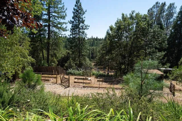 a view of a house with a backyard and a garage
